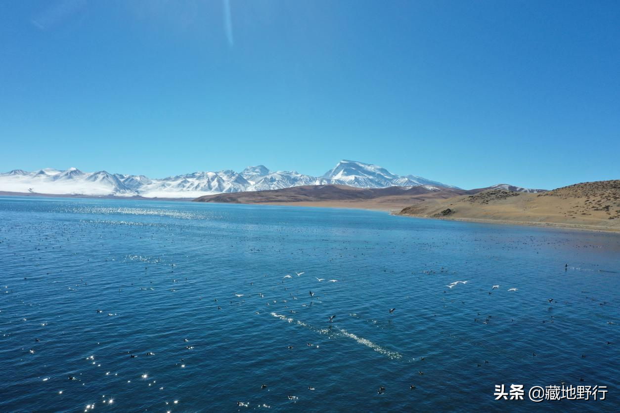 極地星原｜讓星空點(diǎn)亮旅途——走進(jìn)阿里普蘭