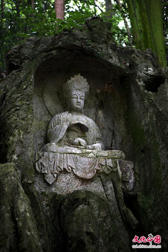 杭州 靈隱寺 攝影 佛像 旅游 古剎 西湖 仙靈所隱