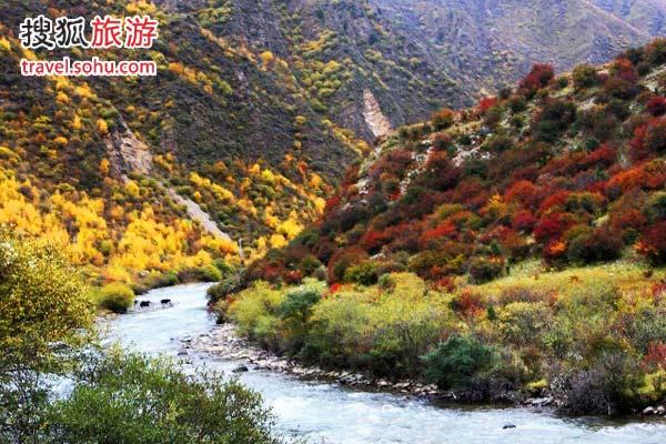 圖片來源：姚海全 （搜狐博客）