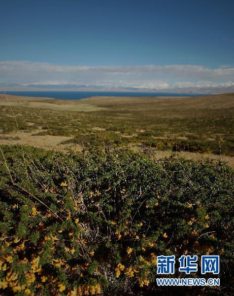 西藏阿里的神山圣湖