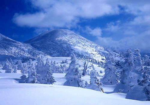 西藏雪景