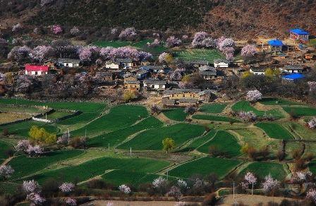 仿佛桃花源地