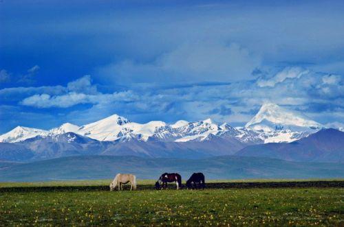 從遠(yuǎn)處眺望念青唐古拉山。（圖片來源于網(wǎng)絡(luò)）