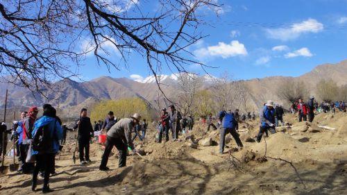 3月29日，援藏干部在拉薩市堆龍德慶縣羊達(dá)鄉(xiāng)通嘎村義務(wù)植樹。